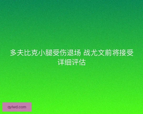 多夫比克小腿受伤退场 战尤文前将接受详细评估