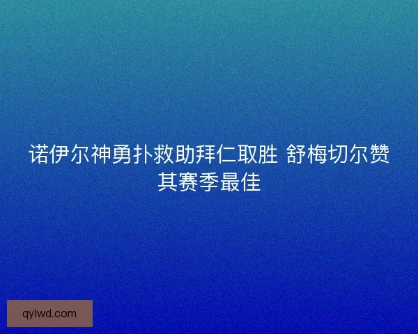 诺伊尔神勇扑救助拜仁取胜 舒梅切尔赞其赛季最佳