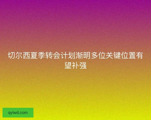 切尔西夏季转会计划渐明多位关键位置有望补强
